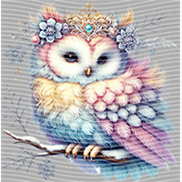 Animal Integration-DW 1217